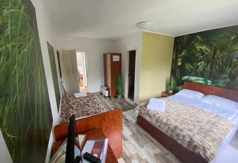 Pensiunea La Mesteceni  Zur Birke, Poiana Marului Caras Severin