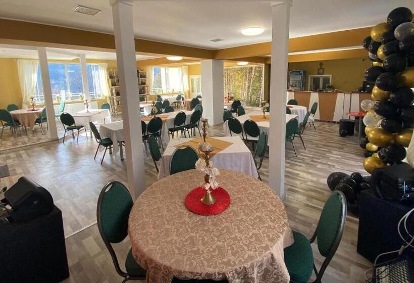 Pensiunea La Mesteceni  Zur Birke, Poiana Marului Caras Severin