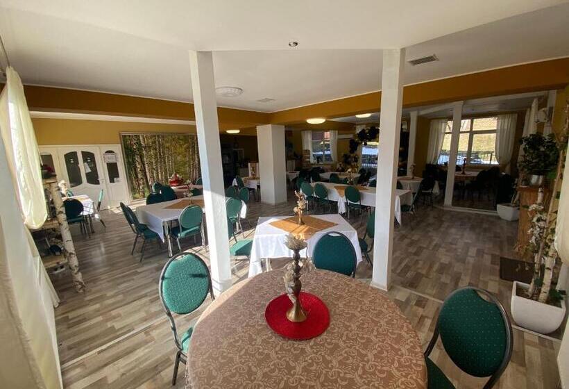 Pensiunea La Mesteceni  Zur Birke, Poiana Marului Caras Severin