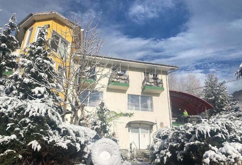 Pensiunea La Mesteceni  Zur Birke, Poiana Marului Caras Severin