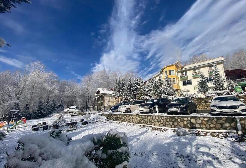 Pensiunea La Mesteceni  Zur Birke, Poiana Marului Caras Severin