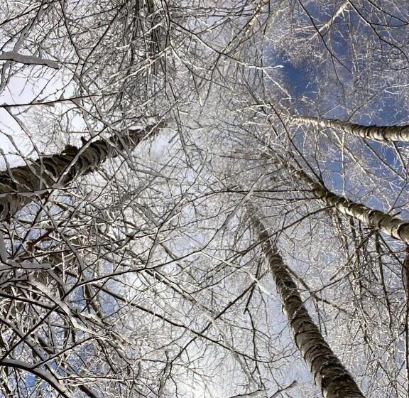 Pensiunea La Mesteceni  Zur Birke, Poiana Marului Caras Severin