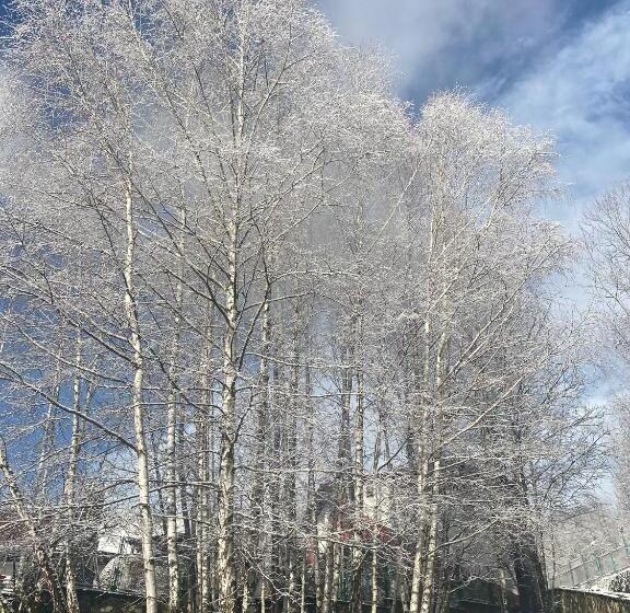 Pensiunea La Mesteceni  Zur Birke, Poiana Marului Caras Severin
