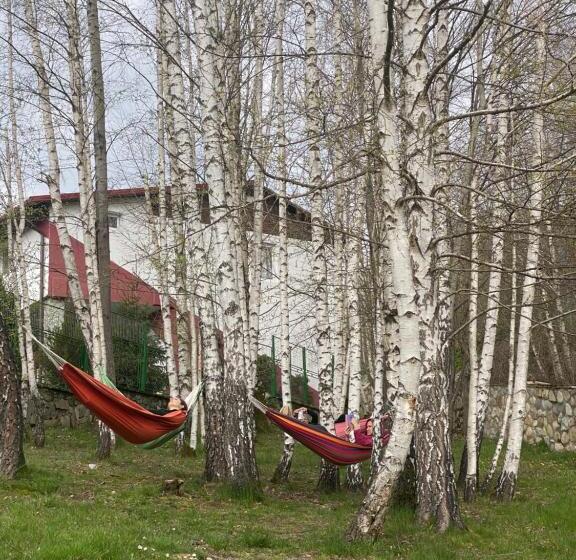 Pensiunea La Mesteceni  Zur Birke, Poiana Marului Caras Severin