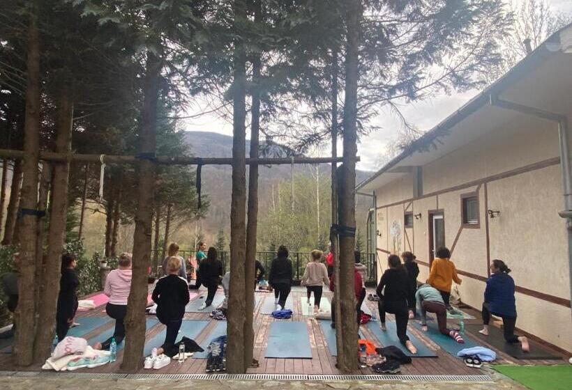 Pensiunea La Mesteceni  Zur Birke, Poiana Marului Caras Severin