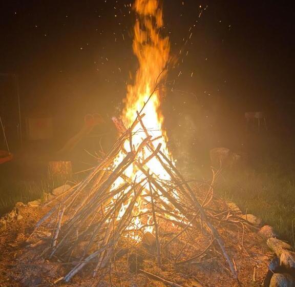 Pensiunea La Mesteceni  Zur Birke, Poiana Marului Caras Severin