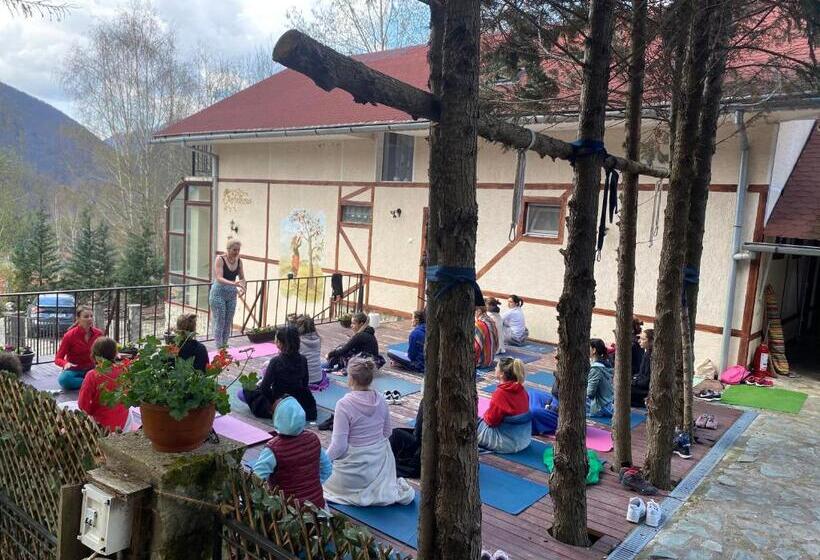 Pensiunea La Mesteceni  Zur Birke, Poiana Marului Caras Severin