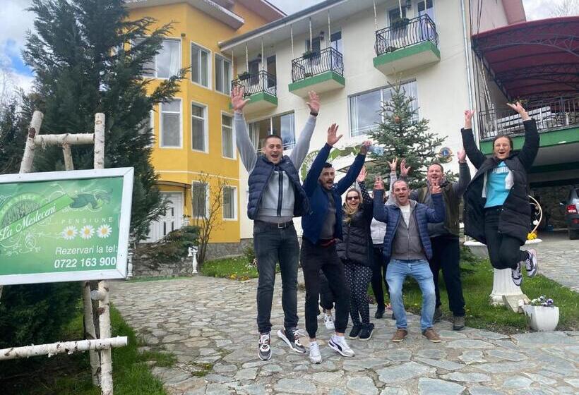 Pensiunea La Mesteceni  Zur Birke, Poiana Marului Caras Severin