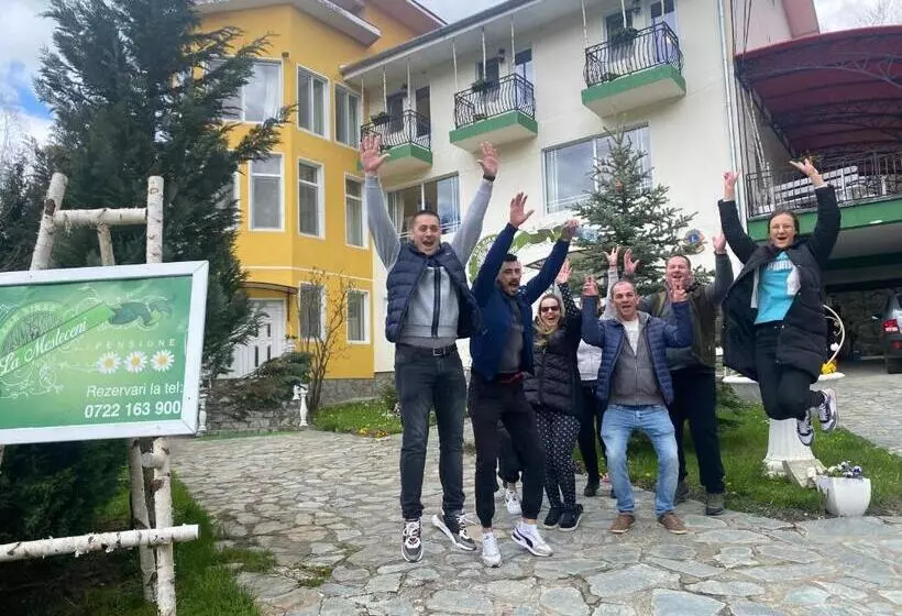 Pensiunea La Mesteceni  Zur Birke, Poiana Marului Caras Severin