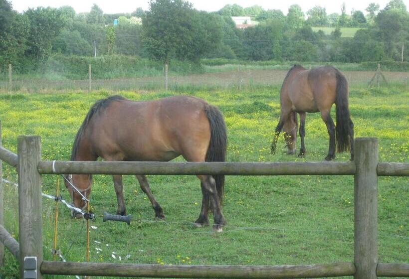 Bed and Breakfast Chambre D Hôtes Proche Puy Du Fou