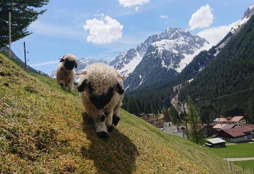 בית מלון כפרי Bergbauernhof Pabulariu