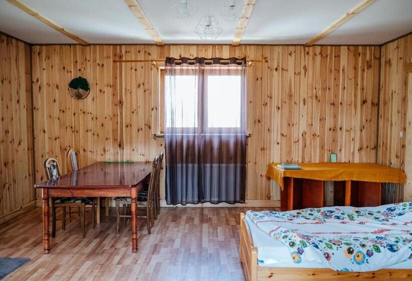 호텔 Przy Trójstyku