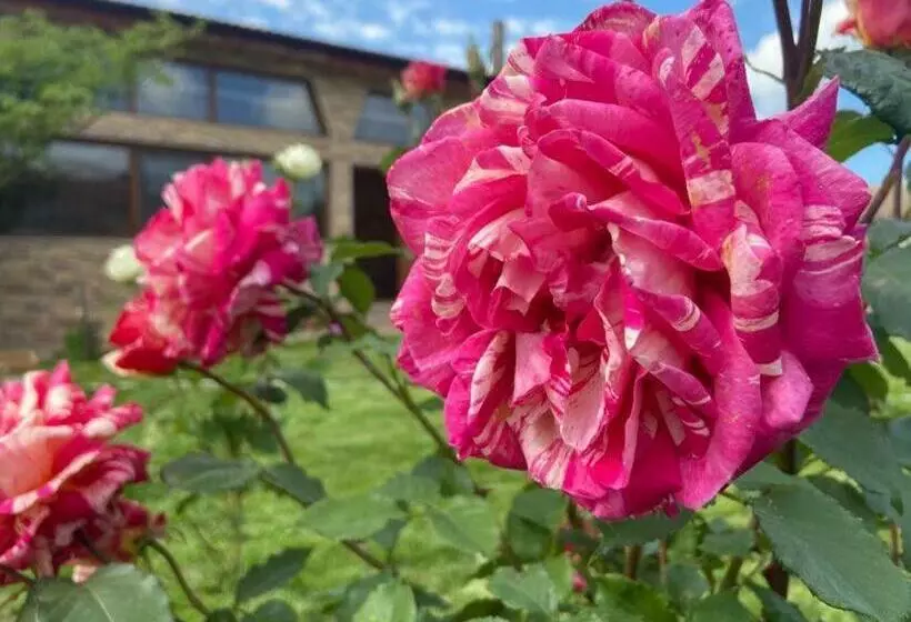 Majatalo ана мария