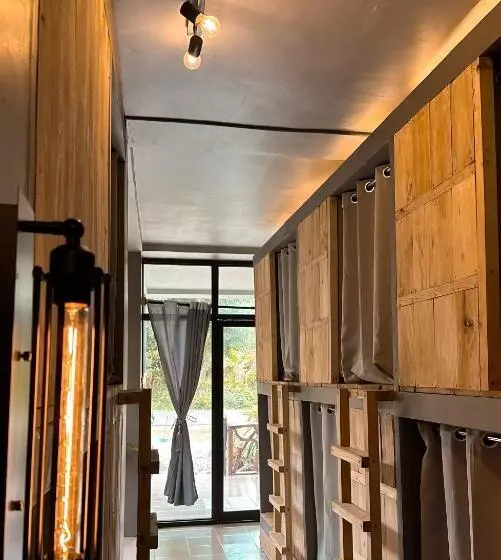 پانسیون Resting Rabbit Hostel
