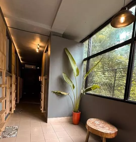 پانسیون Resting Rabbit Hostel
