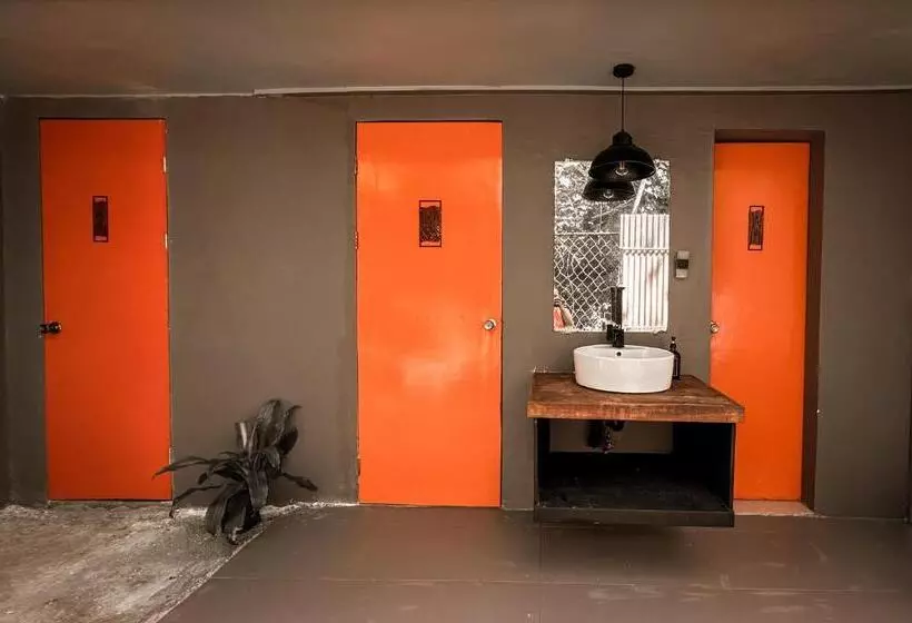 پانسیون Resting Rabbit Hostel