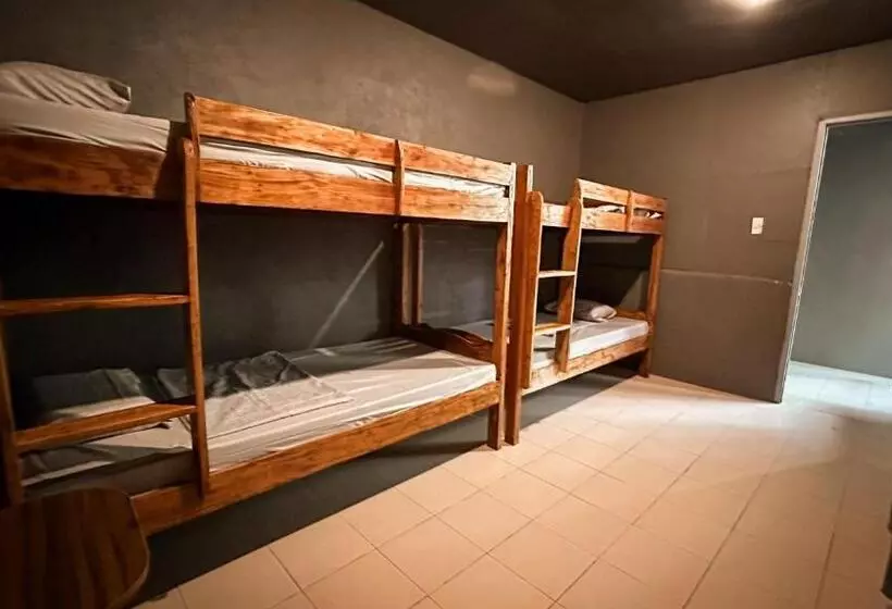 پانسیون Resting Rabbit Hostel