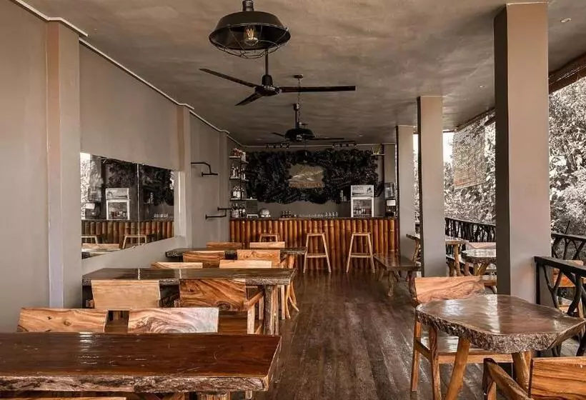 پانسیون Resting Rabbit Hostel