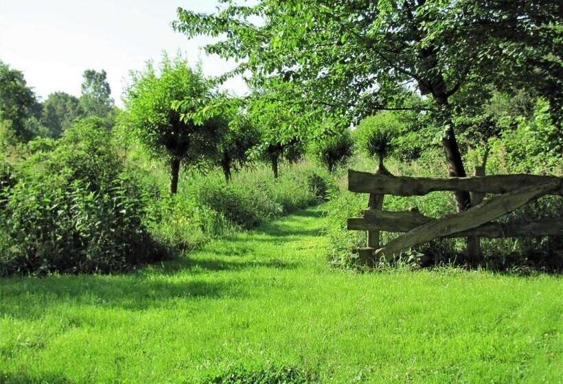 بنسيون Gästezimmer Im Engelshof, 61224