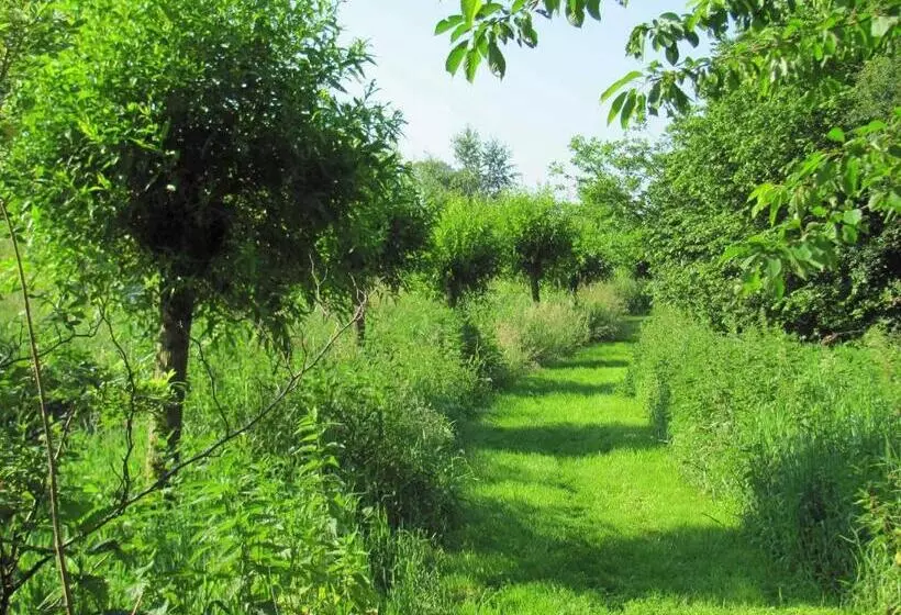 Majatalo Gästezimmer Im Engelshof, 61224