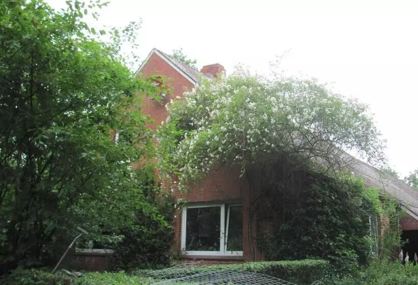 Majatalo Gästezimmer Im Engelshof, 61224