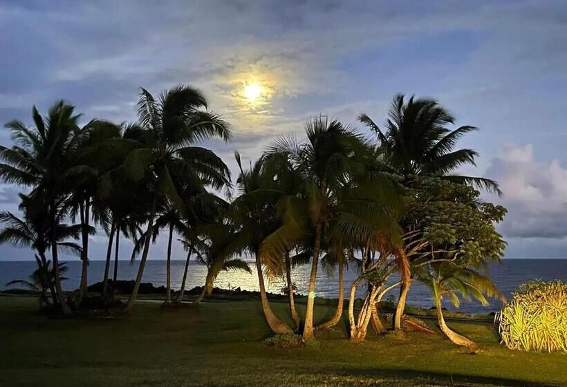 פנסיון Phoenix Garden