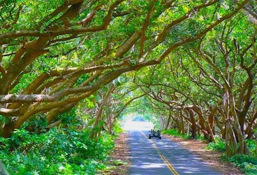 פנסיון Phoenix Garden