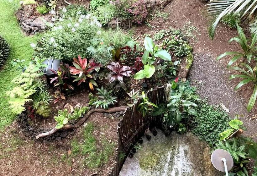 פנסיון Phoenix Garden