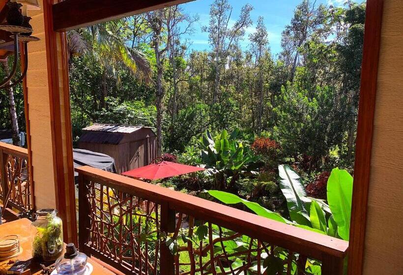 פנסיון Phoenix Garden