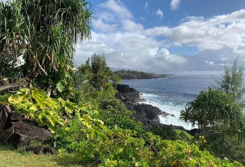 פנסיון Phoenix Garden