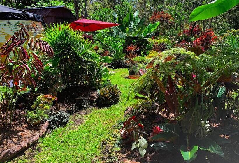 פנסיון Phoenix Garden