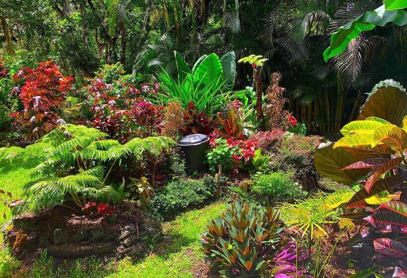 פנסיון Phoenix Garden