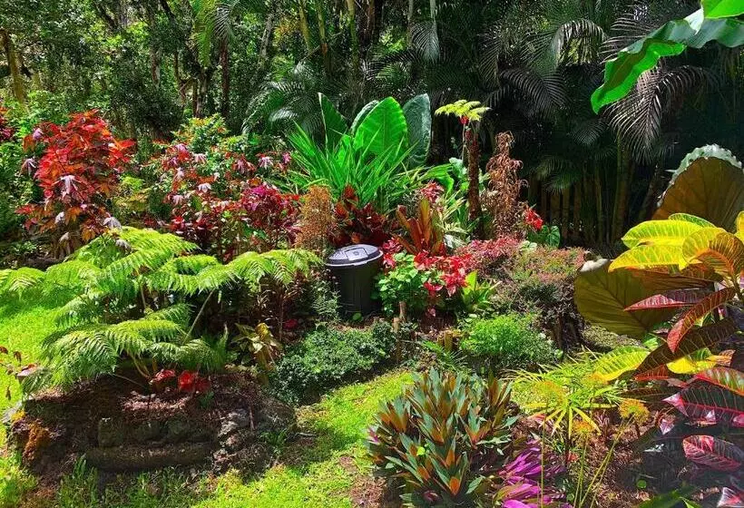 ペンション Phoenix Garden