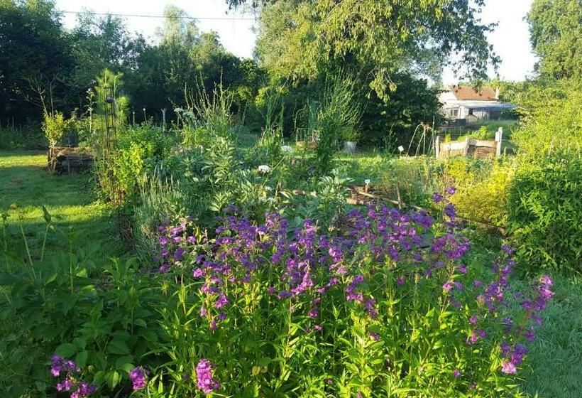 ペンション Suite Familiale 2 Chambres