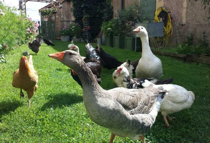 ペンション Suite Familiale 2 Chambres