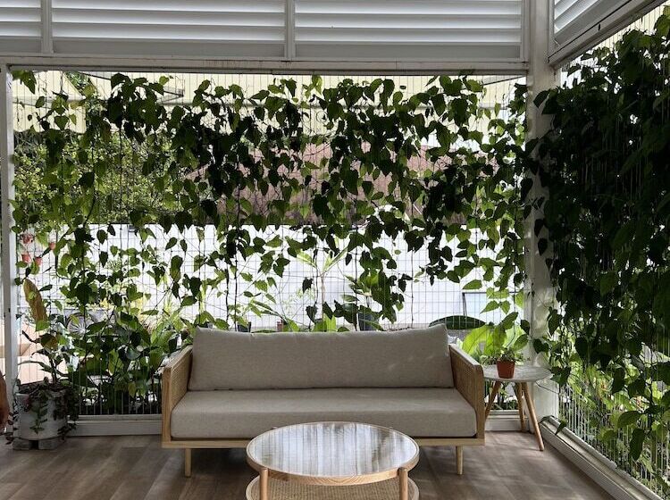 אתר נופש Found Mansion