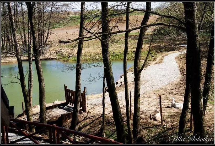 Aamiaismajoitus (B&B) Villa Sobótka