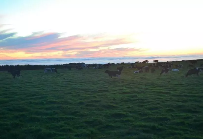 Family Run Farm B&b