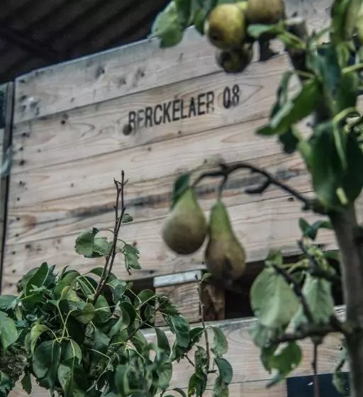 Hotelli Vakantiehoeve Berckelaer