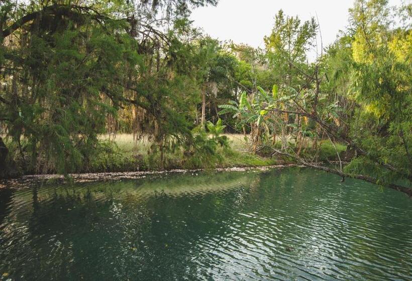 فندق Y Restaurante El Texano