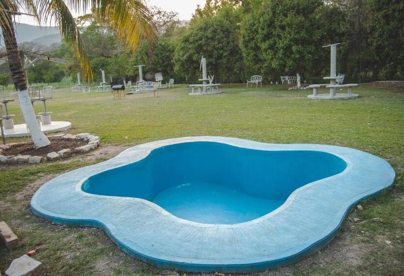 فندق Y Restaurante El Texano