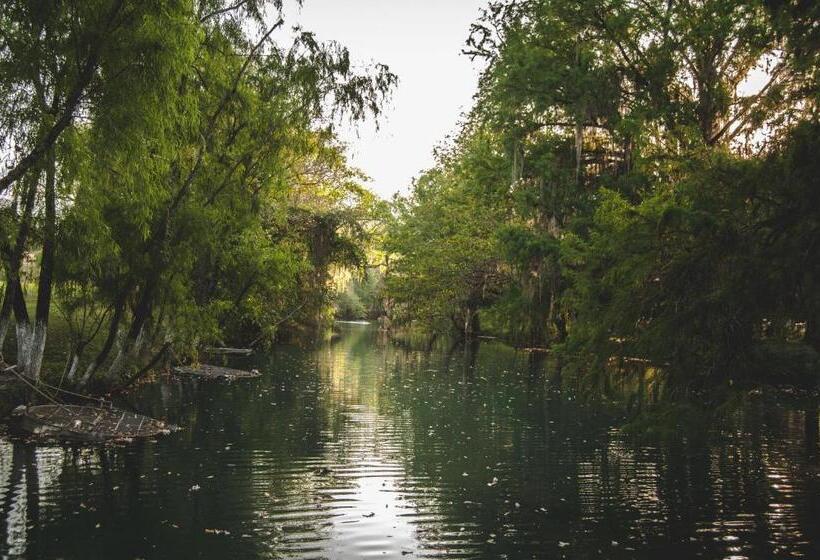 فندق Y Restaurante El Texano