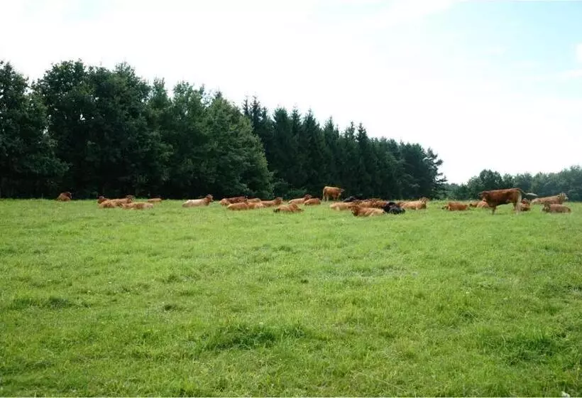 ホテル Złota Leśniczówka