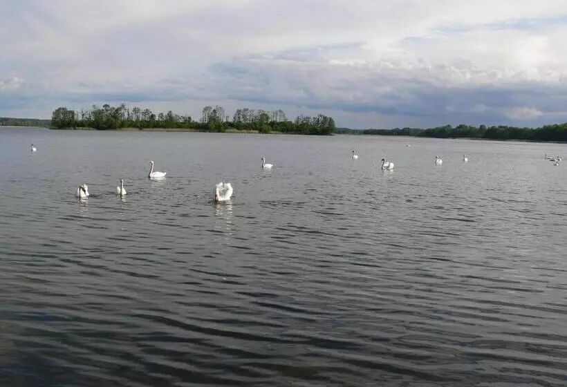 ホテル Złota Leśniczówka