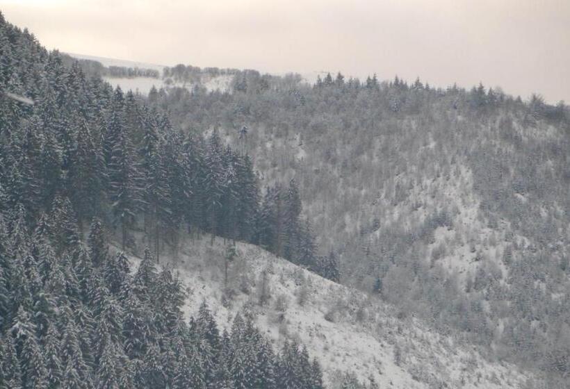 بنسيون садиба бункер чан