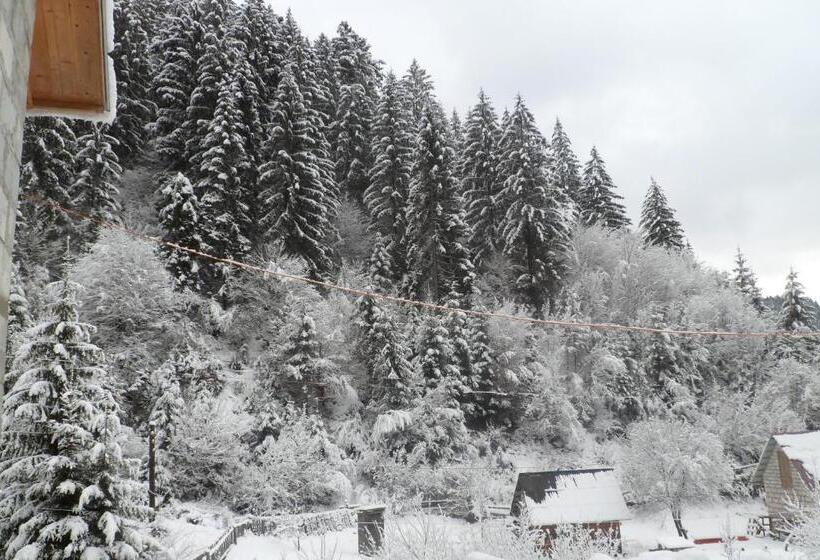 بنسيون садиба бункер чан