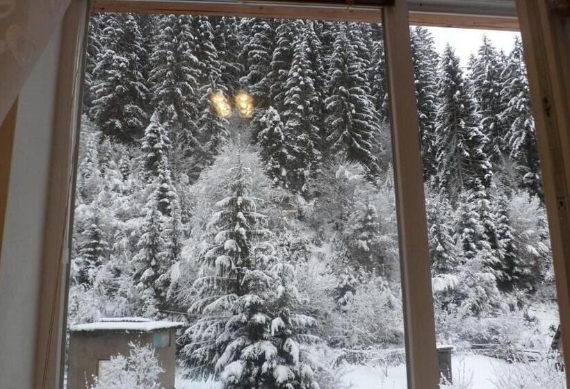 بنسيون садиба бункер чан