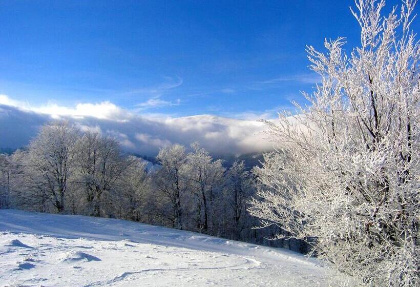 بنسيون садиба бункер чан