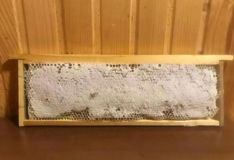 Majatalo у олега