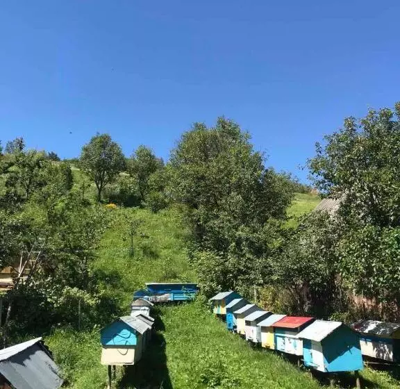 Majatalo у олега